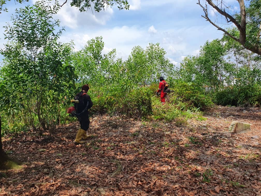 BUKIT MELATI, NILAI