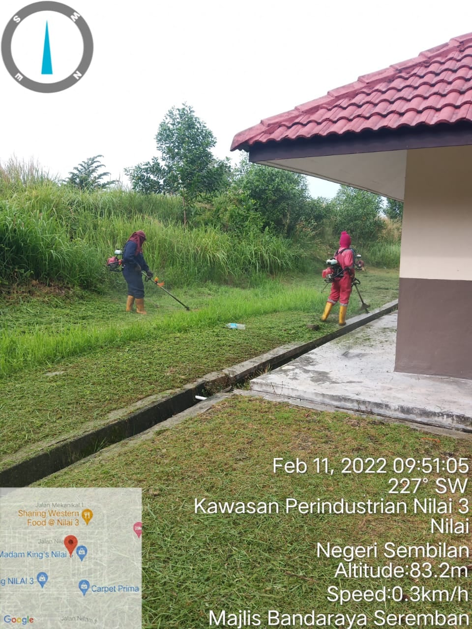 PEMOTONGAN RUMPUT