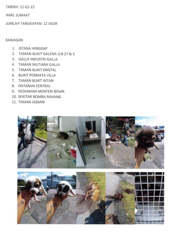 TANGKAPAN ANJING SEPANJANG BULAN JANUARI 2022