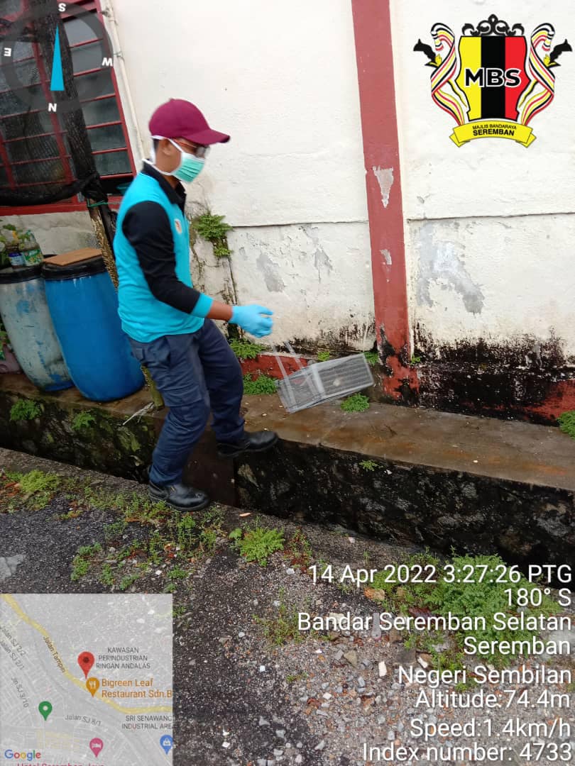 KAWALAN RODENSIA