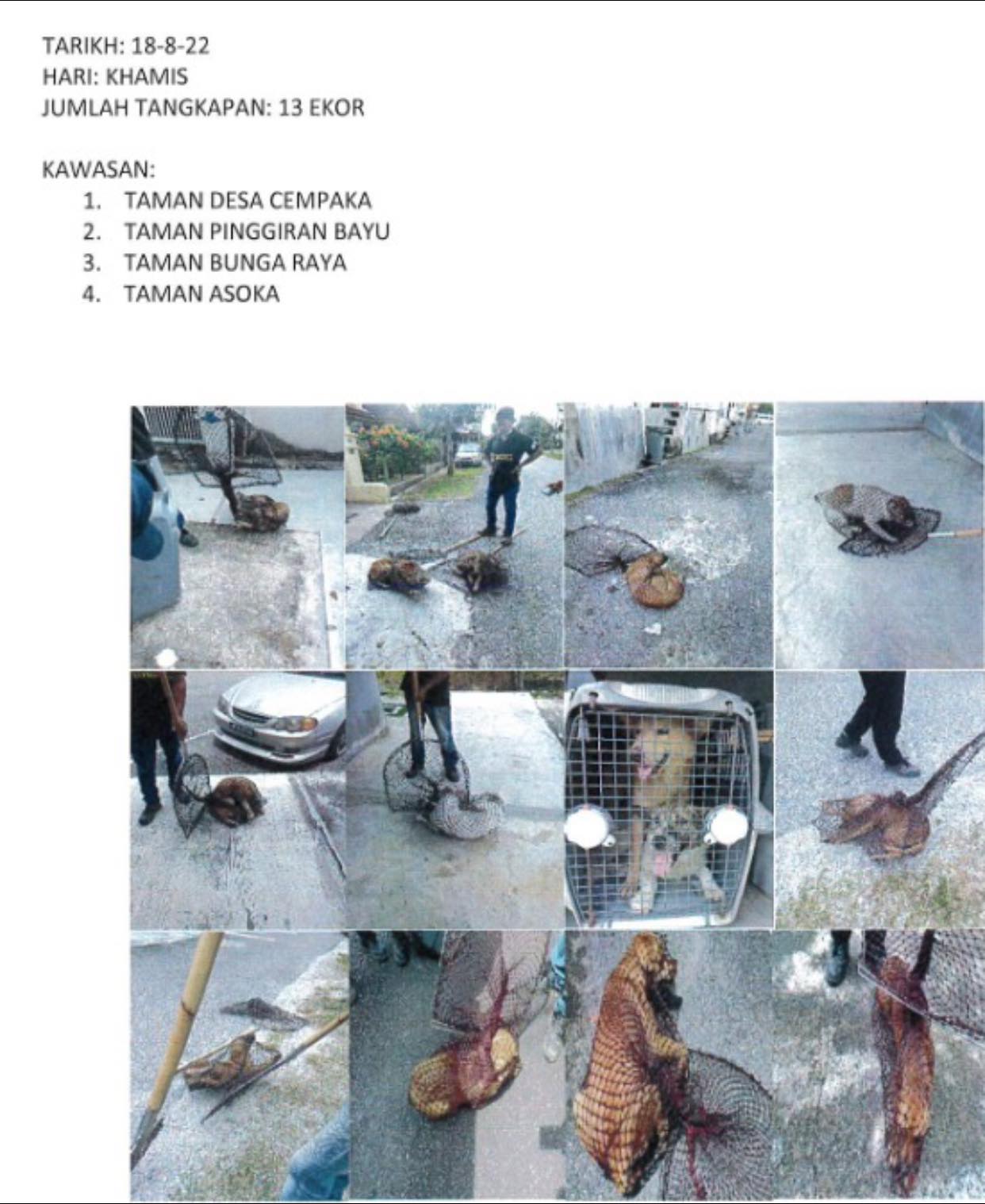 TANGKAPAN ANJING LIAR/TERBIAR
