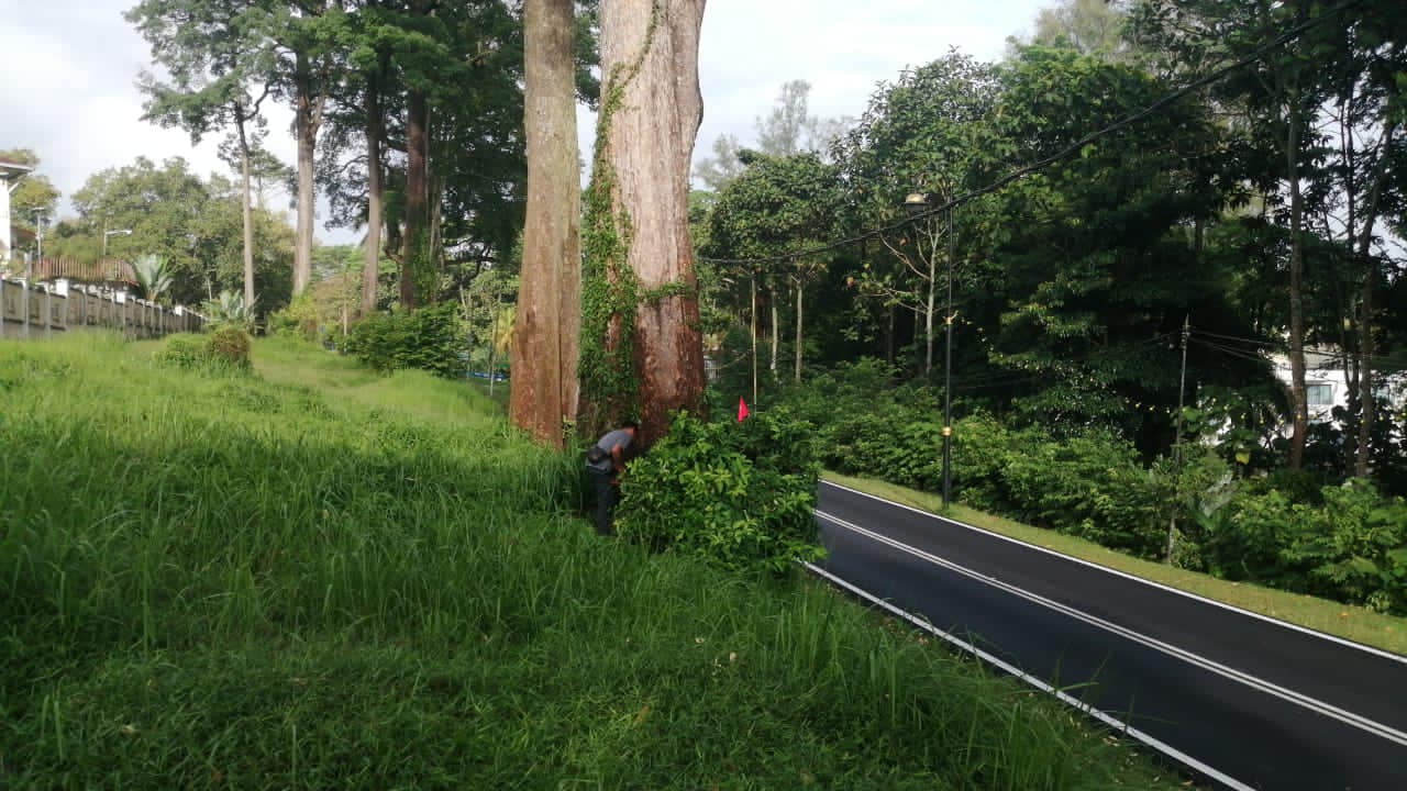 GOTONG-ROYONG