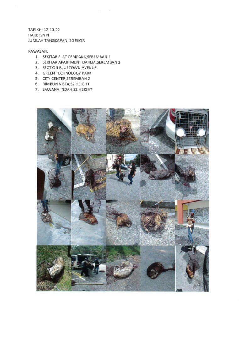 OPERASI TANGKAPAN ANJING LIAR / TERBIAR