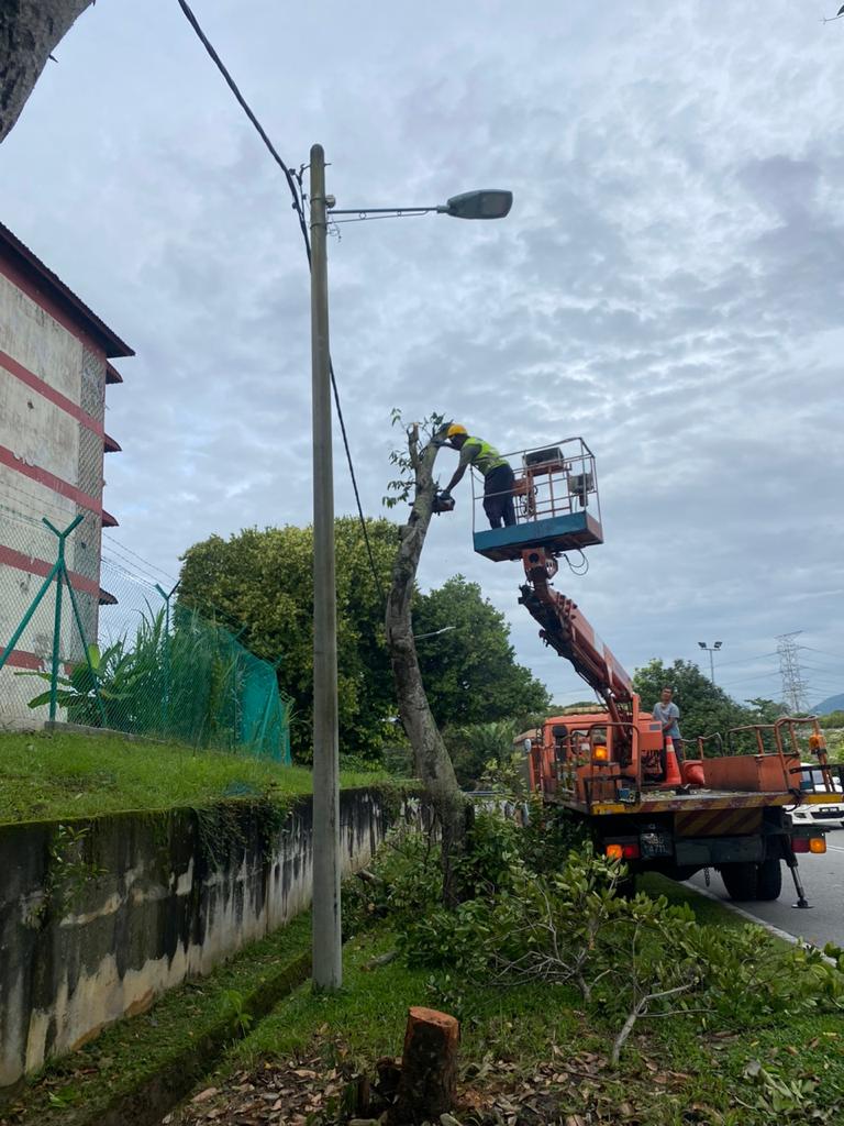 KERJA - KERJA PENEBANGAN POKOK