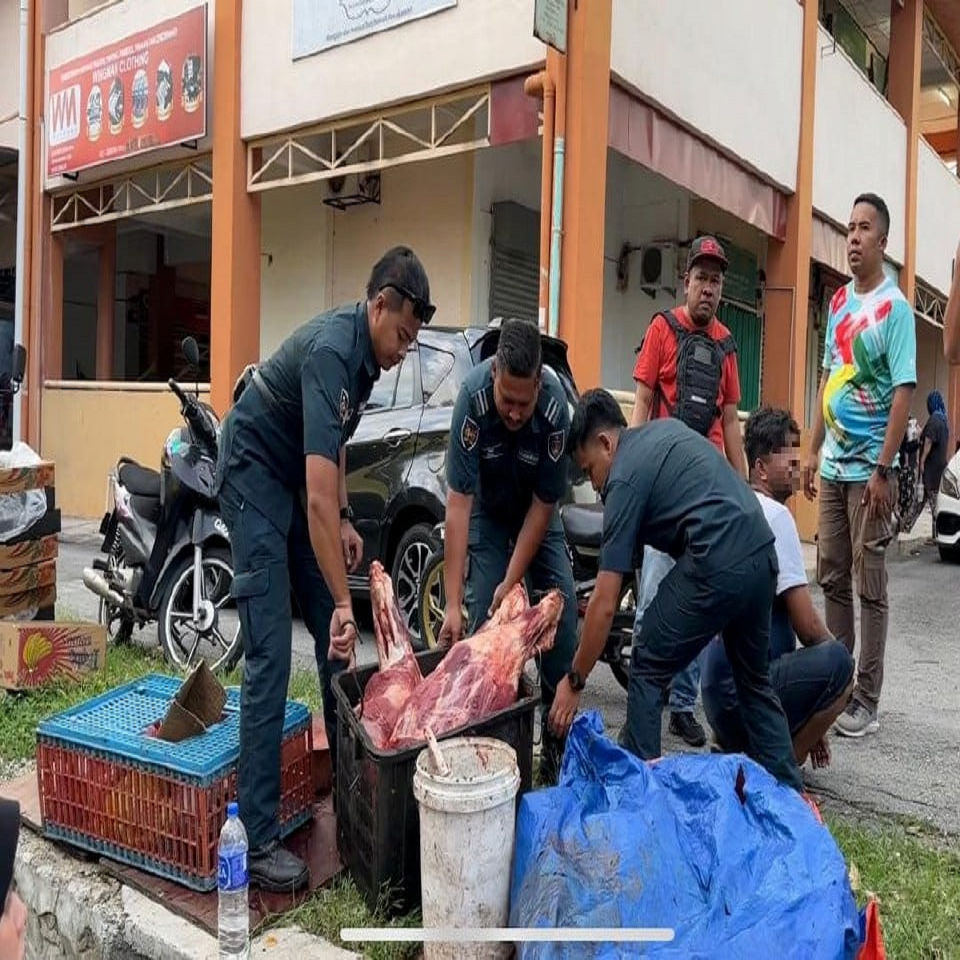 DAGING LEMBU