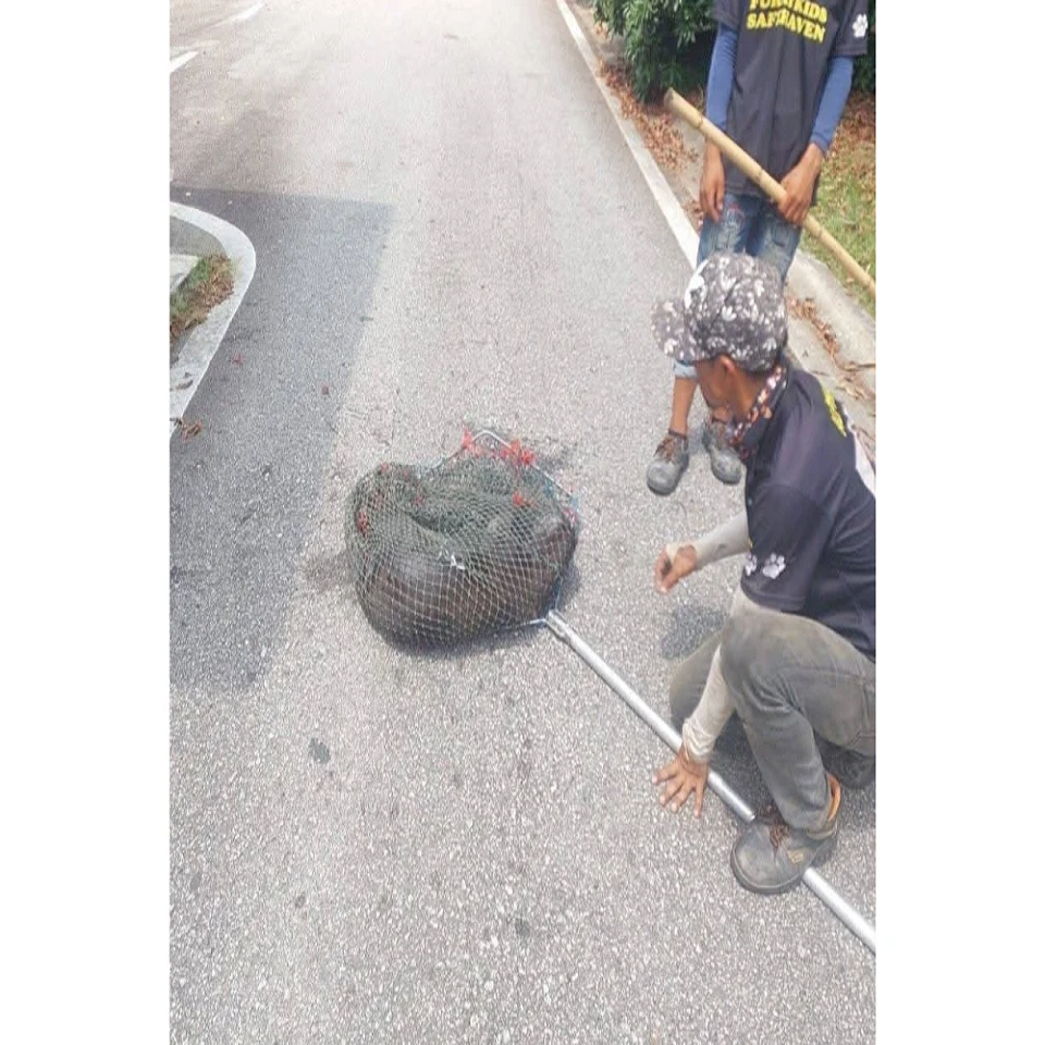 SINAR HARIAN