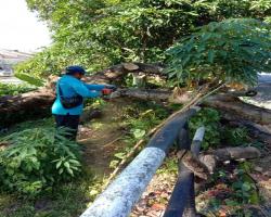 KERJA-KERJA PEMBERSIHAN 