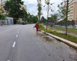 IPD NILAI