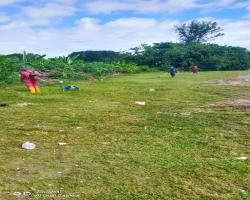 PEMOTONGAN RUMPUT