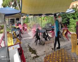 GERAI MBS, TAMAN DESA CEMPAKA