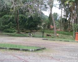  PEMANTAUAN KAWASAN