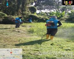 KERJA-KERJA PENYELENGGARAAN RUMPUT 