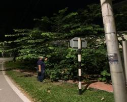 RONDAAN MALAM