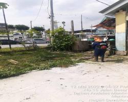  PEMOTONGAN RUMPUT