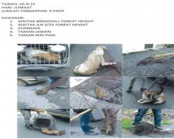 TANGKAPAN ANJING LIAR/TERBIAR