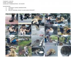 TANGKAPAN ANJING LIAR/TERBIAR