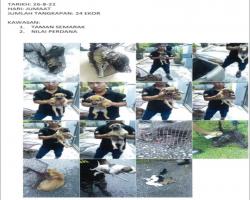 TANGKAPAN ANJING LIAR/TERBIAR