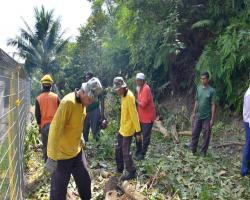 LAWATAN TURUN PADANG DATUK BANDAR DI KAWASAN TANAH RUNTUH
