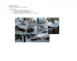 OPERASI TANGKAPAN ANJING LIAR / TERBIAR