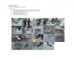 OPERASI TANGKAPAN ANJING LIAR / TERBIAR