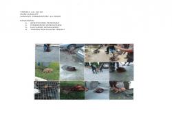 OPERASI TANGKAPAN ANJING LIAR / TERBIAR