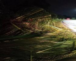 BENCANA RIBUT DI SEREMBAN 