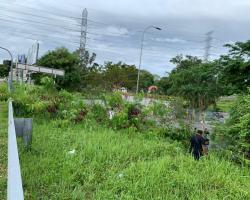 LAPORAN PEMBERSIHAN SEMAK SAMUN DI PERSIMPANGAN LINGKARAN TENGAH JALAN DATO’ MUDA LINGGI