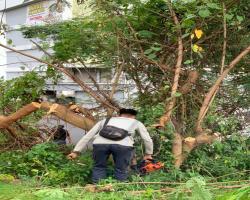 LAPORAN PEMBERSIHAN SEMAK SAMUN DI PERSIMPANGAN LINGKARAN TENGAH JALAN DATO’ MUDA LINGGI