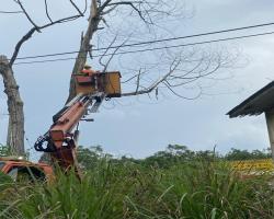 KERJA - KERJA PENEBANGAN POKOK