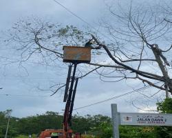 KERJA - KERJA PENEBANGAN POKOK