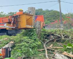 KERJA - KERJA PENEBANGAN POKOK