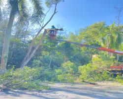 KERJA - KERJA PENEBANGAN POKOK