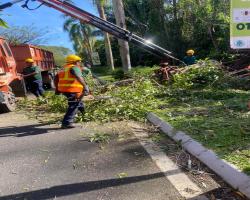KERJA - KERJA PENEBANGAN POKOK