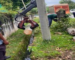 KERJA - KERJA PENEBANGAN POKOK
