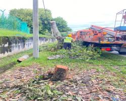 KERJA - KERJA PENEBANGAN POKOK