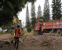 KERJA - KERJA PENEBANGAN POKOK