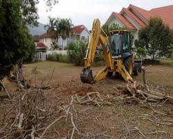 KERJA - KERJA PENEBANGAN POKOK